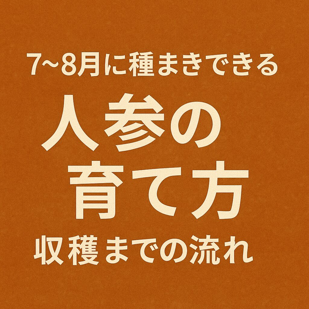 「7〜8月に種まきできる人参の育て方」のアイキャッチ画像