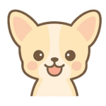 ちわわ