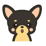 ちわたん