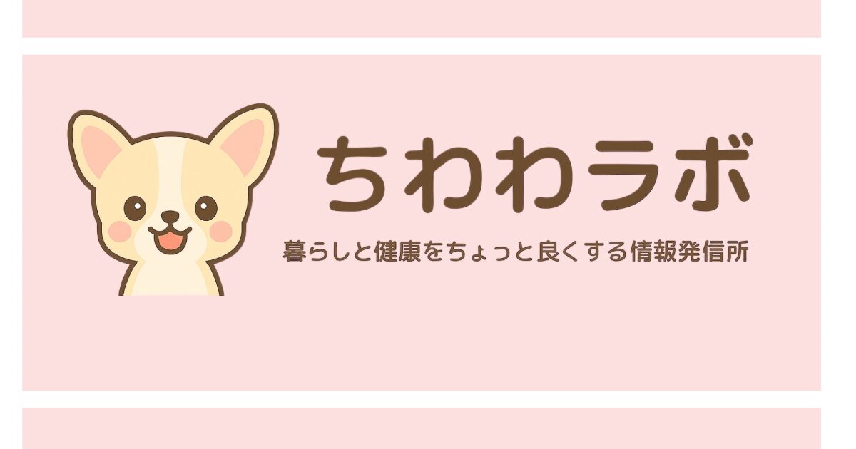 自己紹介