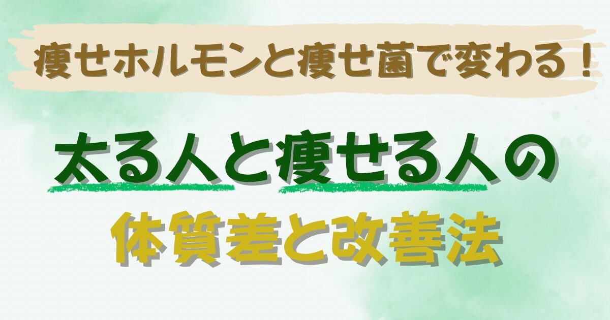 「痩せホルモンと痩せ菌で変わる！太る人と痩せる人の体質差と改善法を解説する記事のアイキャッチ画像」
